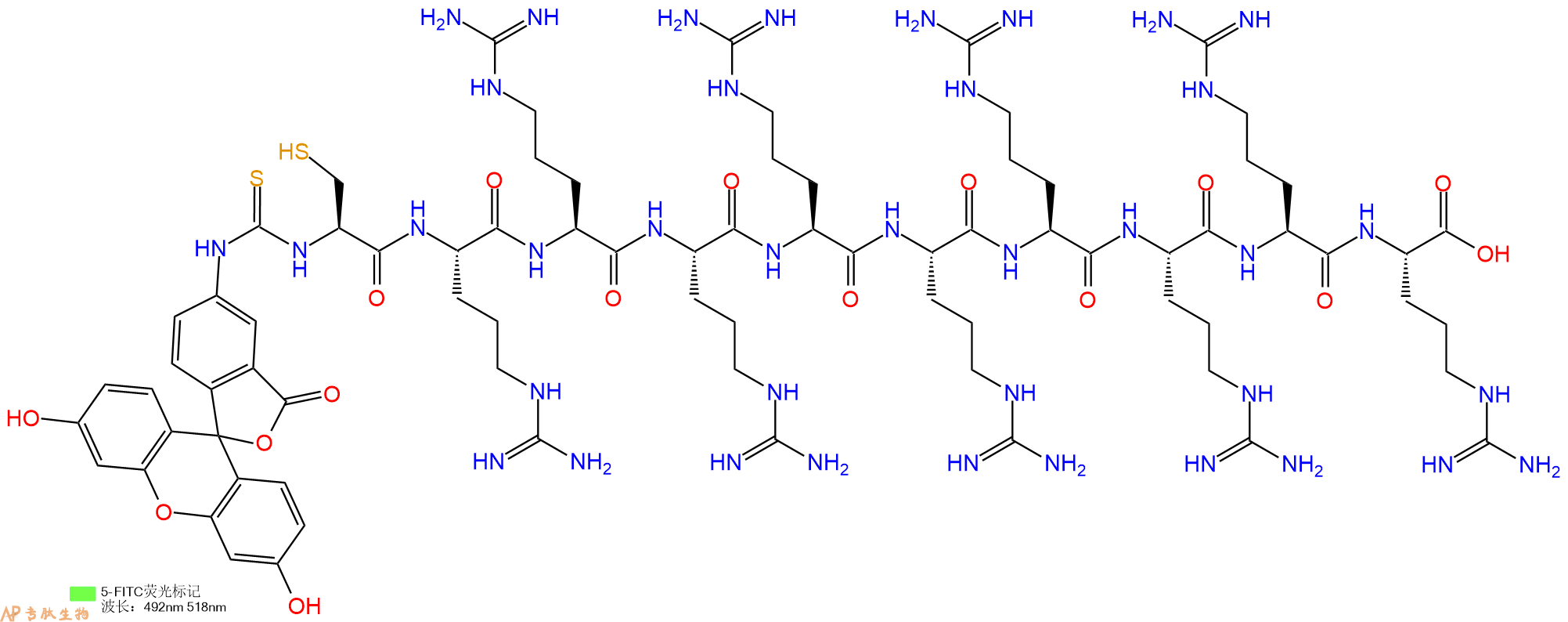 专肽生物产品5FITC-Cys-Arg-Arg-Arg-Arg-Arg-Arg-Arg-Arg-Arg-OH