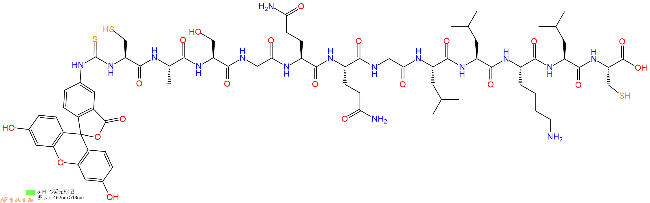 专肽生物产品5FITC-Cys-Ala-Ser-Gly-Gln-Gln-Gly-Leu-Leu-Lys-Leu-Cys-OH