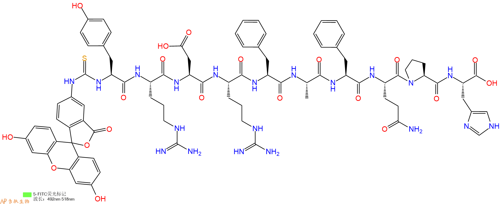 专肽生物产品5FITC-Tyr-Arg-Asp-Arg-Phe-Ala-Phe-Gln-Pro-His-OH