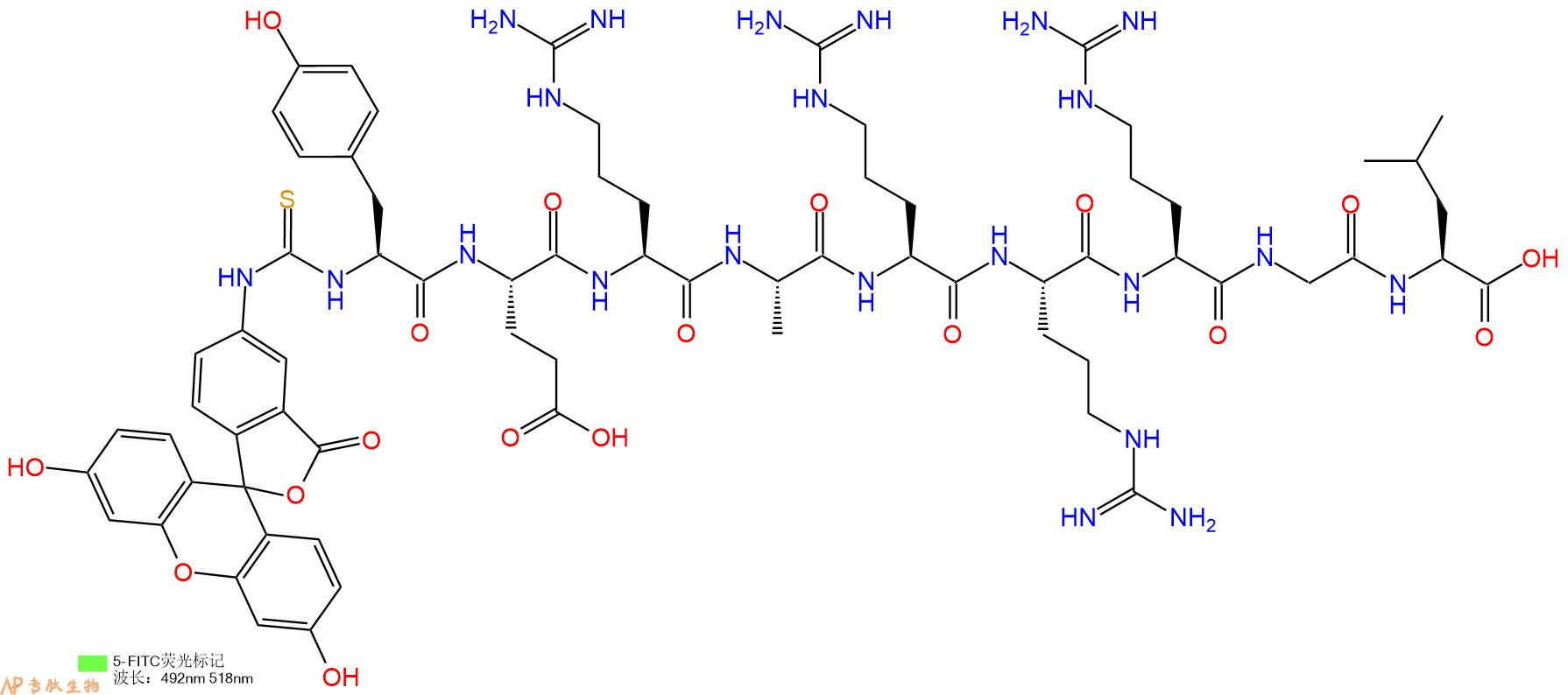 专肽生物产品5FITC-Tyr-Glu-Arg-Ala-Arg-Arg-Arg-Gly-Leu-OH