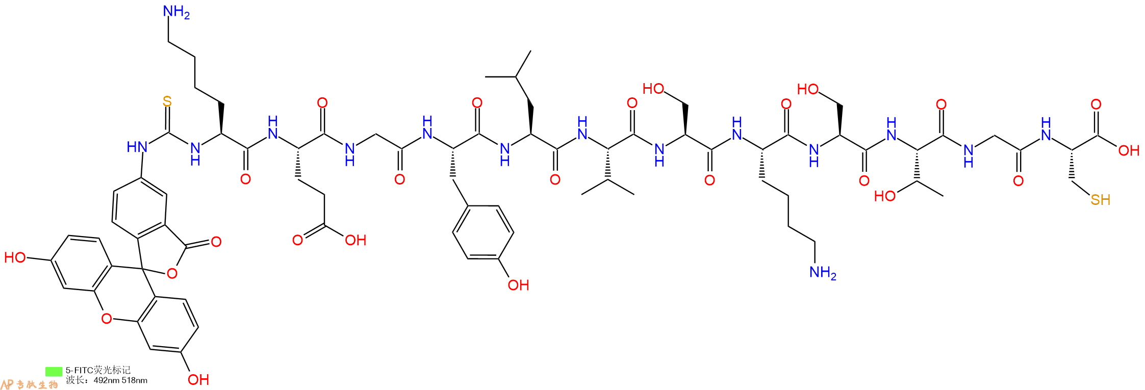 专肽生物产品5FITC-Lys-Glu-Gly-Tyr-Leu-Val-Ser-Lys-Ser-Thr-Gly-Cys-OH