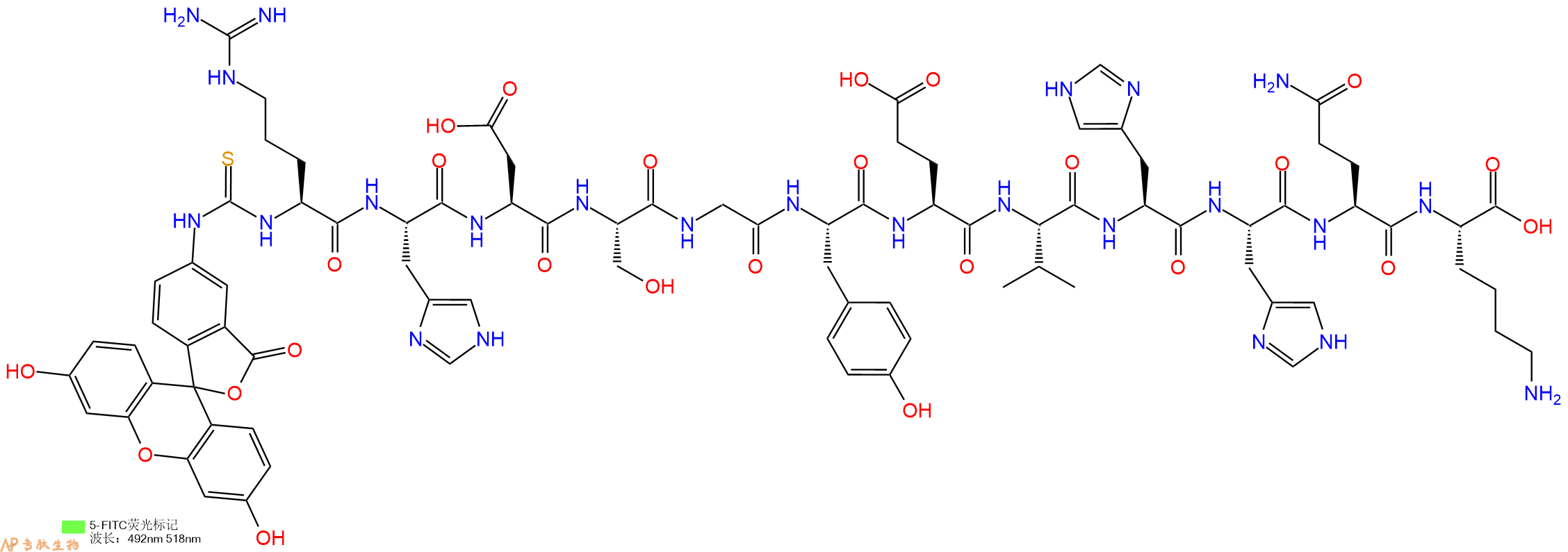 专肽生物产品5FITC-Arg-His-Asp-Ser-Gly-Tyr-Glu-Val-His-His-Gln-Lys-OH