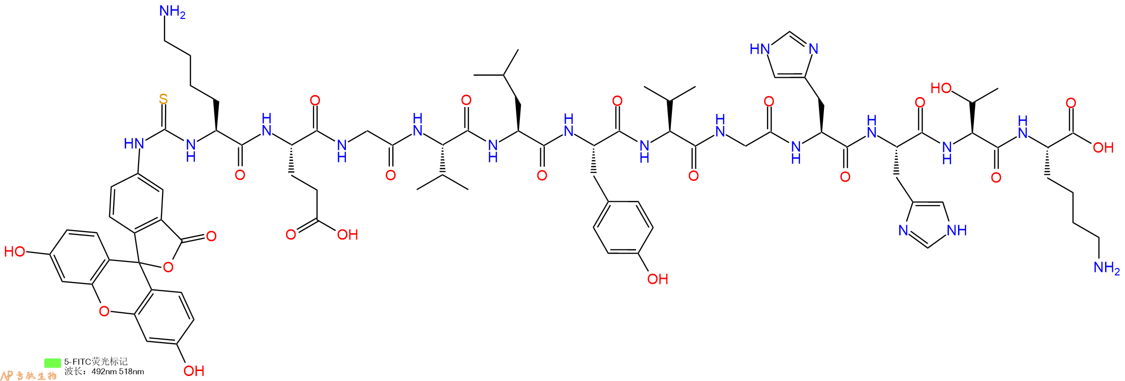 专肽生物产品5FITC-Lys-Glu-Gly-Val-Leu-Tyr-Val-Gly-His-His-Thr-Lys-OH