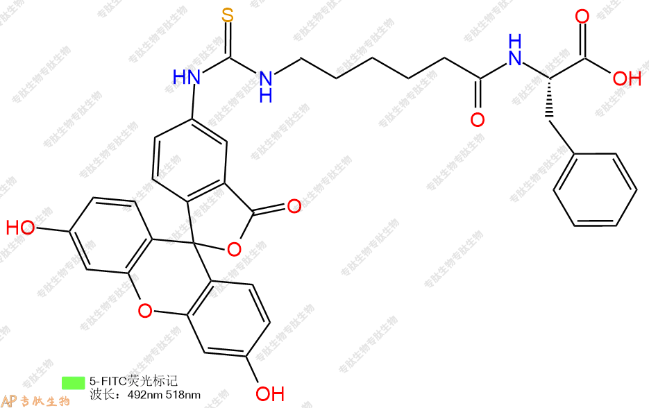 专肽生物产品5FITC-Ahx-Phe-OH