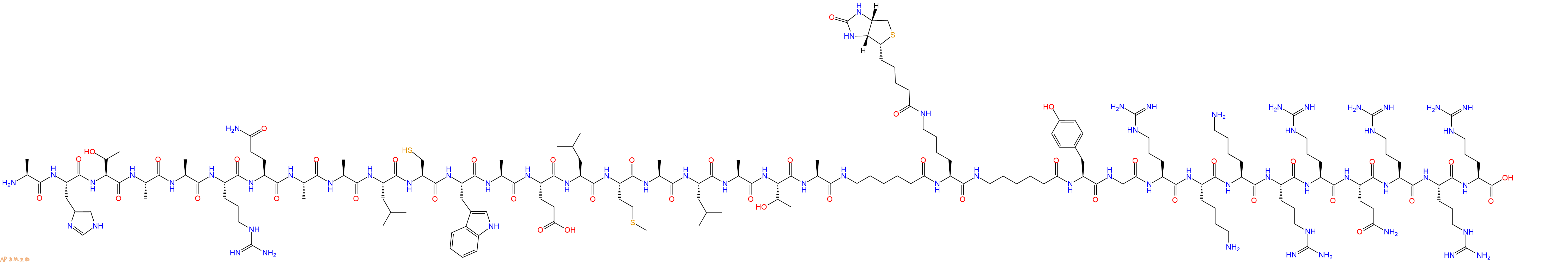 专肽生物产品H2N-Ala-His-Thr-Ala-Ala-Arg-Gln-Ala-Ala-Leu-Cys-Trp-Ala-Glu-Leu-Met-Ala-Leu-Ala-Thr-Ala-Ahx-Lys(Biotin)-Ahx-Tyr-Gly-Arg-Lys-Lys-Arg-Arg-Gln-Arg-Arg-Arg-OH