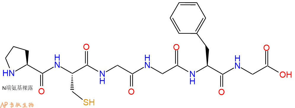 专肽生物产品H2N-Pro-Cys-Gly-Gly-Phe-Gly-OH