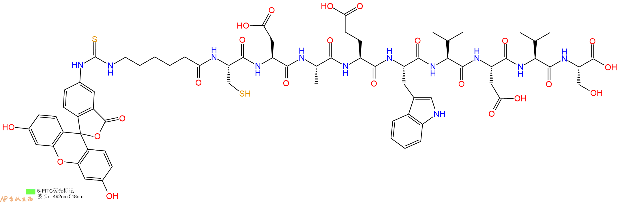 专肽生物产品5FITC-Ahx-Cys-Asp-Ala-Glu-Trp-Val-Asp-Val-Ser-OH