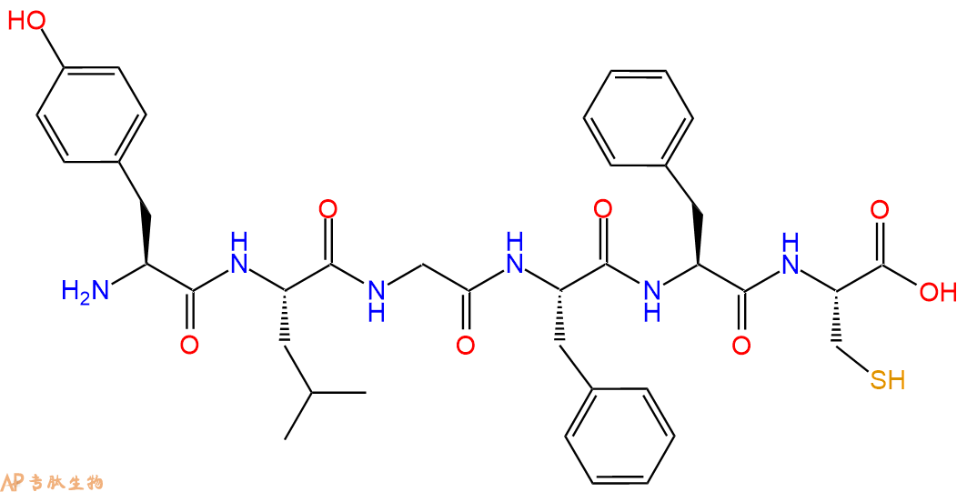 专肽生物产品H2N-Tyr-Leu-Gly-Phe-Phe-Cys-OH