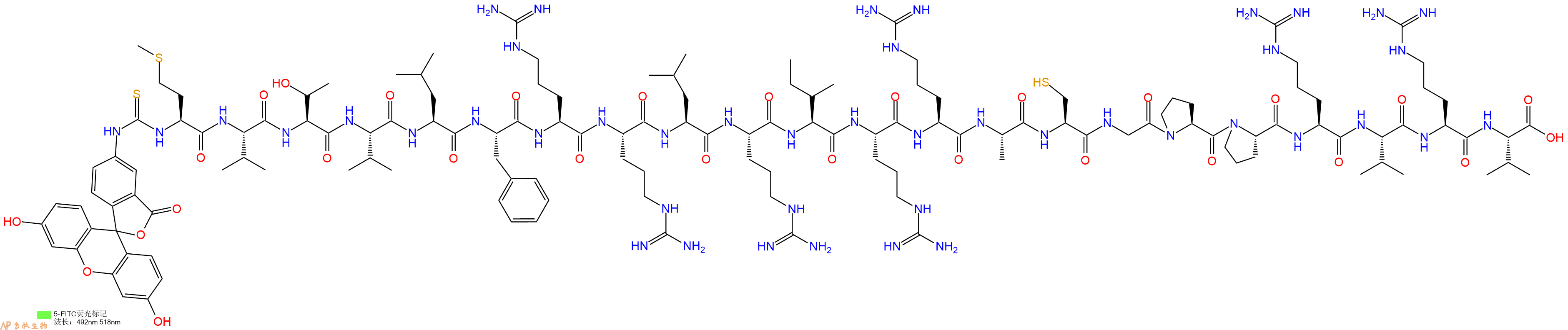 专肽生物产品5FITC-Met-Val-Thr-Val-Leu-Phe-Arg-Arg-Leu-Arg-Ile-Arg-Arg-Ala-Cys-Gly-Pro-Pro-Arg-Val-Arg-Val-OH