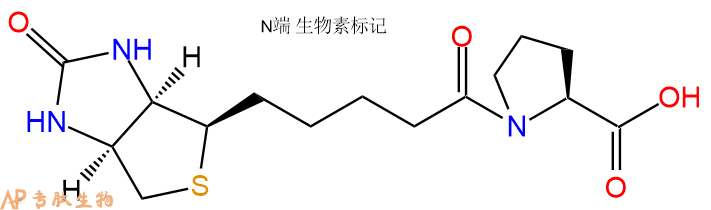 专肽生物产品Biotinyl-Pro-OH