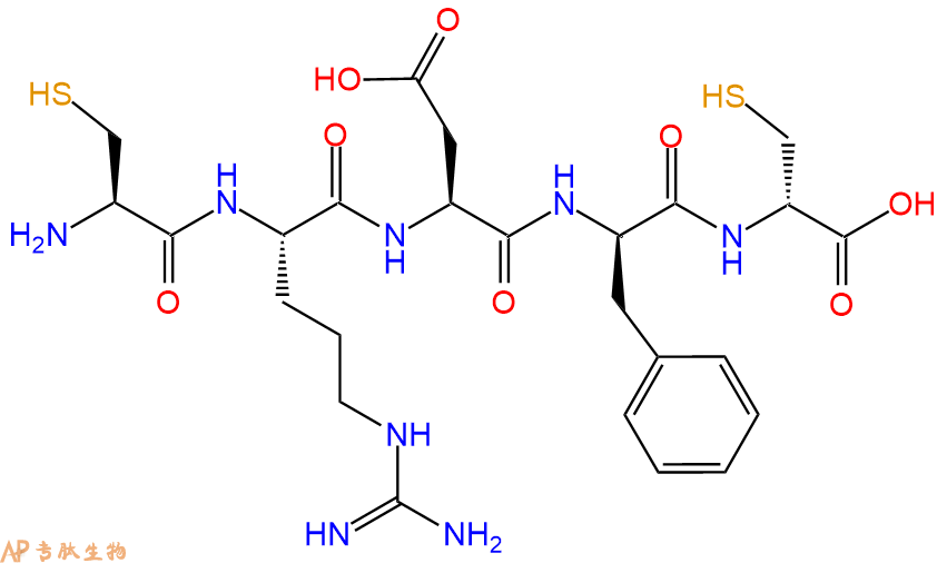 专肽生物产品H2N-Cys-Arg-Asp-DPhe-DCys-OH