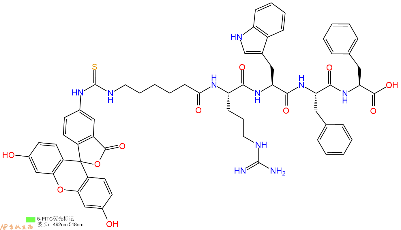 专肽生物产品5FITC-Ahx-Arg-Trp-Phe-Phe-OH