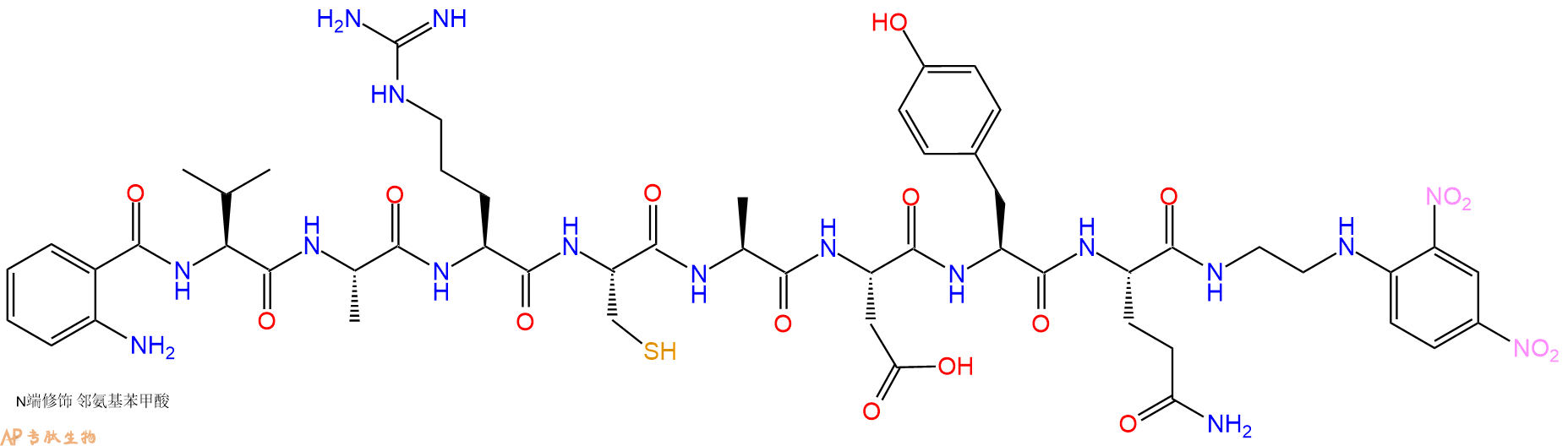 专肽生物产品Abz-Val-Ala-Arg-Cys-Ala-Asp-Tyr-Gln-EDDnp