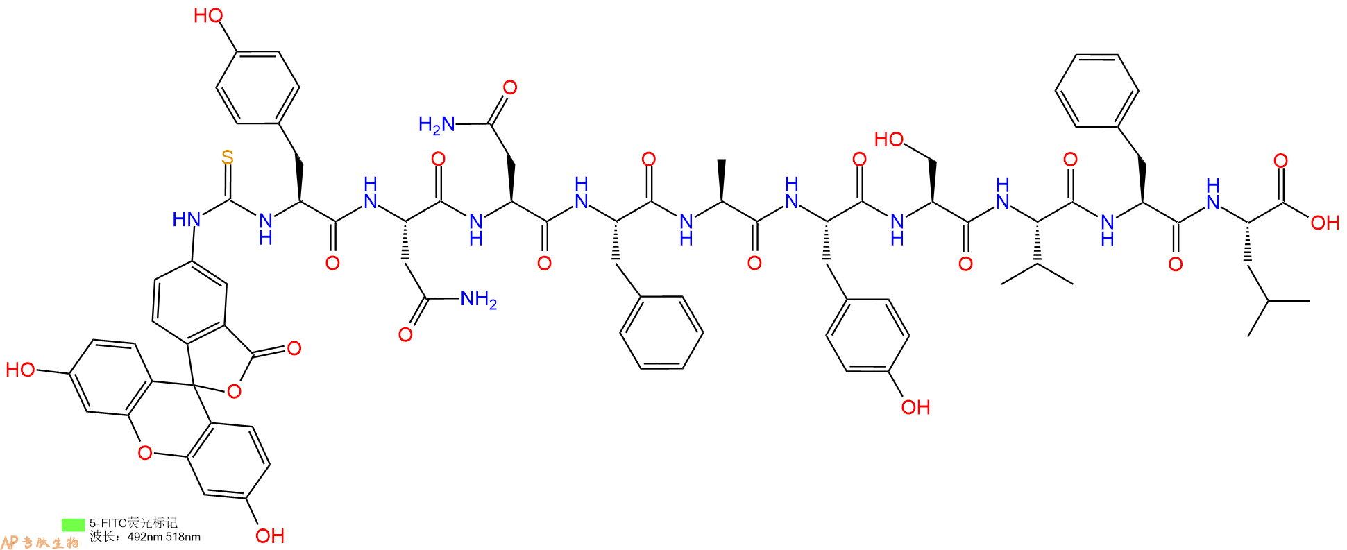 专肽生物产品5FITC-Tyr-Asn-Asn-Phe-Ala-Tyr-Ser-Val-Phe-Leu-OH