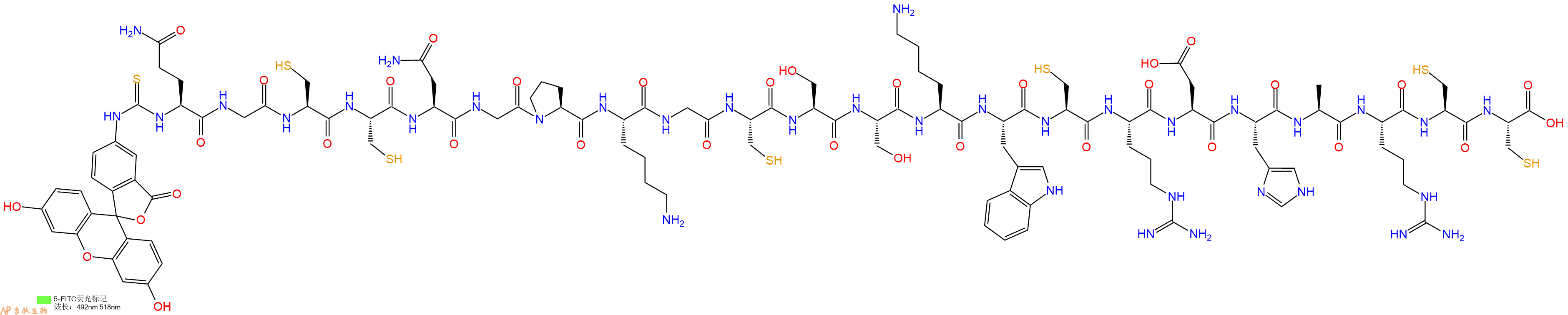 专肽生物产品5FITC-Gln-Gly-Cys-Cys-Asn-Gly-Pro-Lys-Gly-Cys-Ser-Ser-Lys-Trp-Cys-Arg-Asp-His-Ala-Arg-Cys-Cys-OH