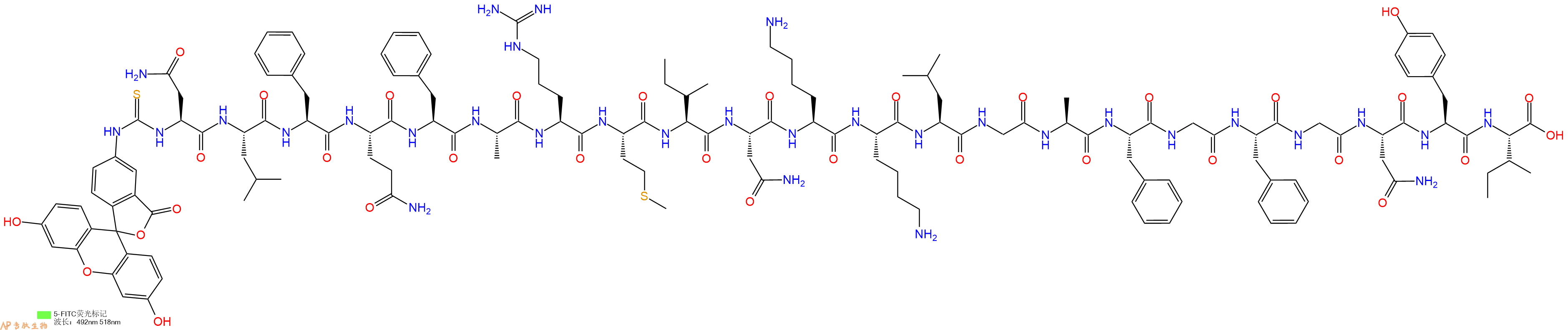 专肽生物产品5FITC-Asn-Leu-Phe-Gln-Phe-Ala-Arg-Met-Ile-Asn-Lys-Lys-Leu-Gly-Ala-Phe-Gly-Phe-Gly-Asn-Tyr-Ile-OH