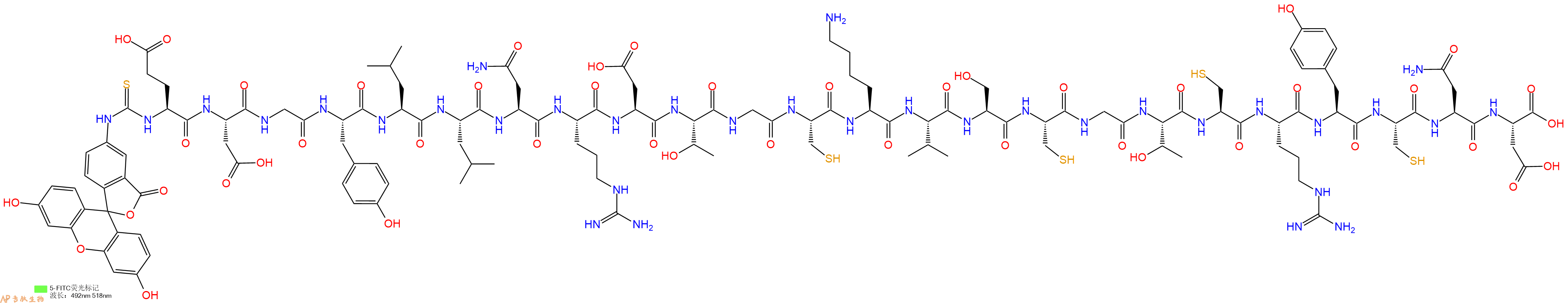 专肽生物产品5FITC-Glu-Asp-Gly-Tyr-Leu-Leu-Asn-Arg-Asp-Thr-Gly-Cys-Lys-Val-Ser-Cys-Gly-Thr-Cys-Arg-Tyr-Cys-Asn-Asp-OH