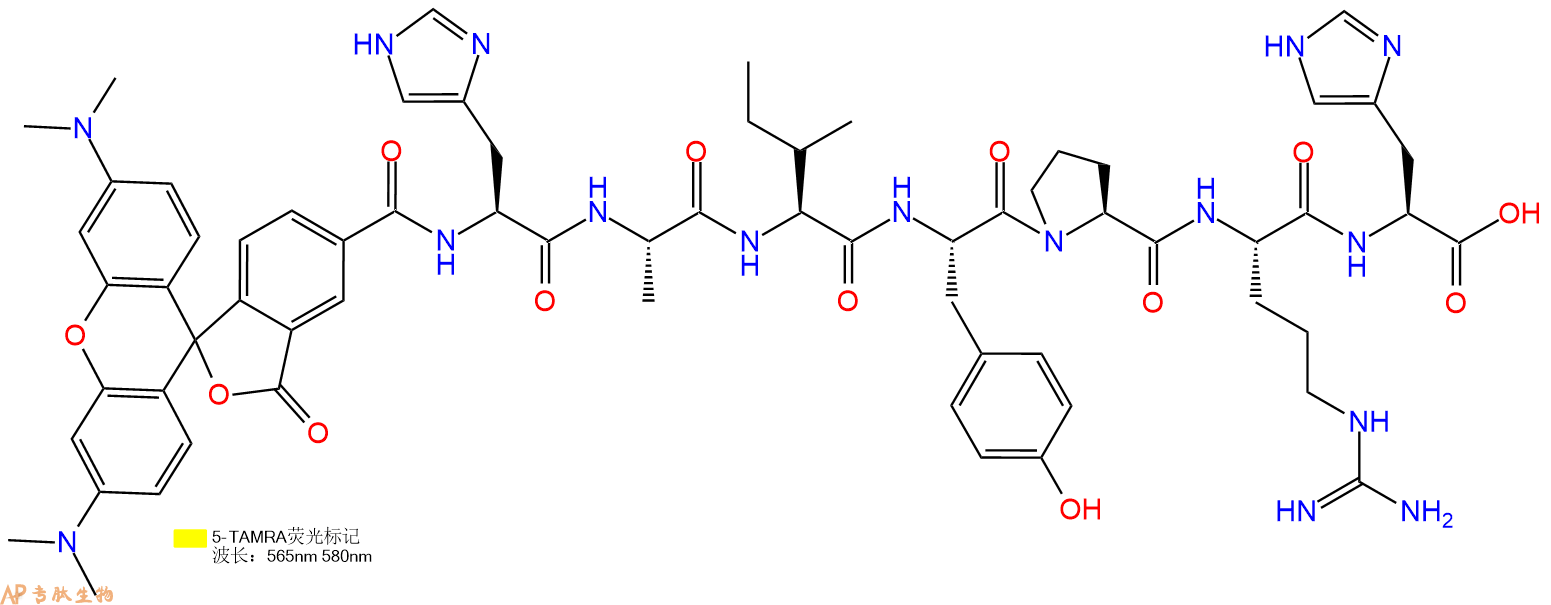专肽生物产品5TAMRA-His-Ala-Ile-Tyr-Pro-Arg-His-OH