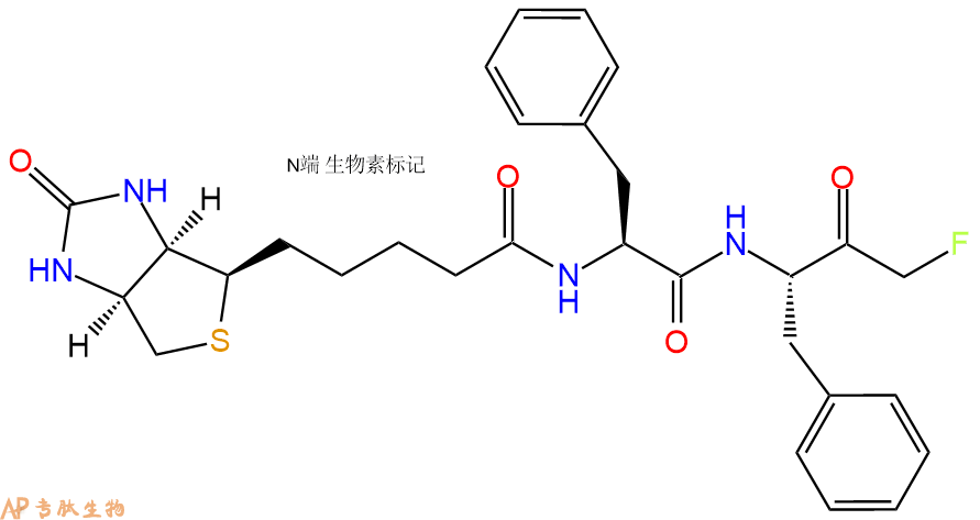 专肽生物产品Biotin-FF-FMK