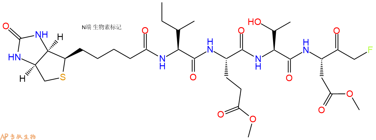 专肽生物产品Biotin-IETD-FMK