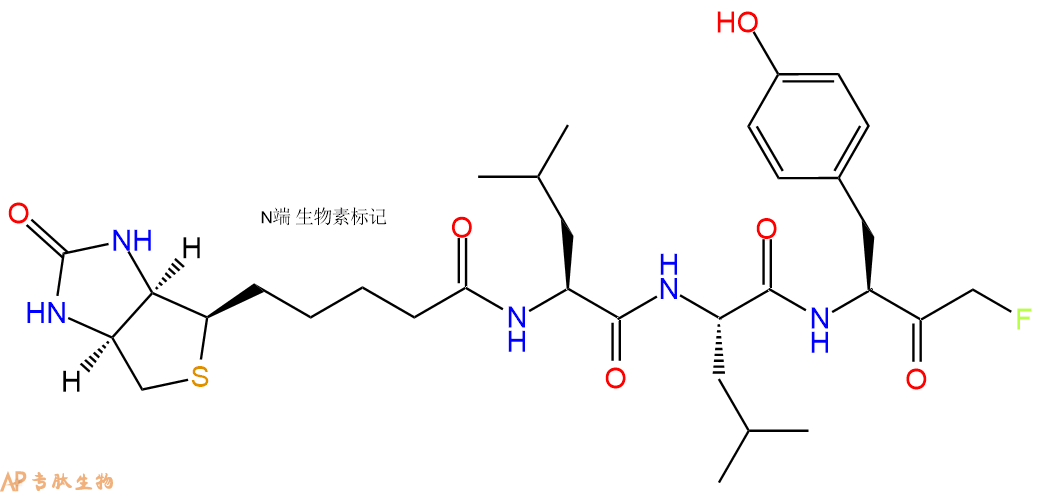 专肽生物产品Biotin-LLY-FMK