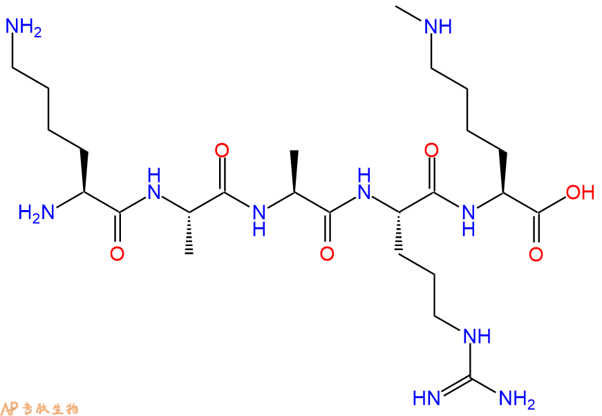 专肽生物产品H2N-Lys-Ala-Ala-Arg-Lys(Me)-OH