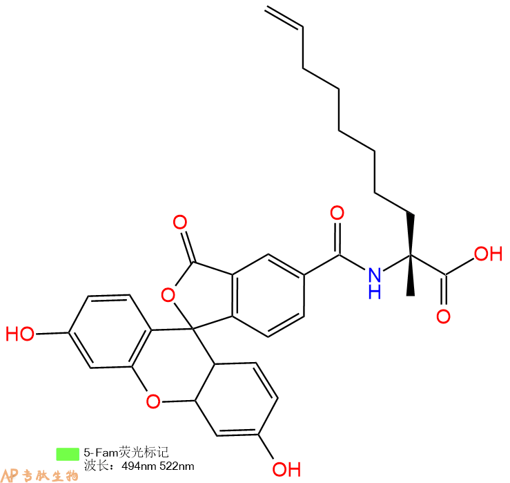 专肽生物产品5FAM-R8-OH