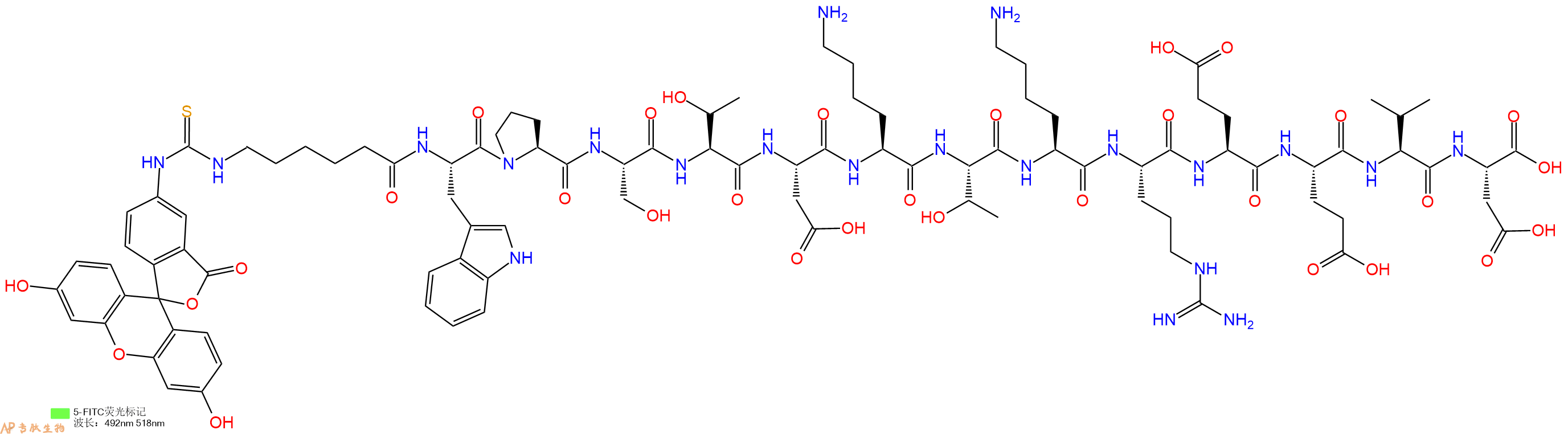 专肽生物产品5FITC-Ahx-Trp-Pro-Ser-Thr-Asp-Lys-Thr-Lys-Arg-Glu-Glu-Val-Asp-OH