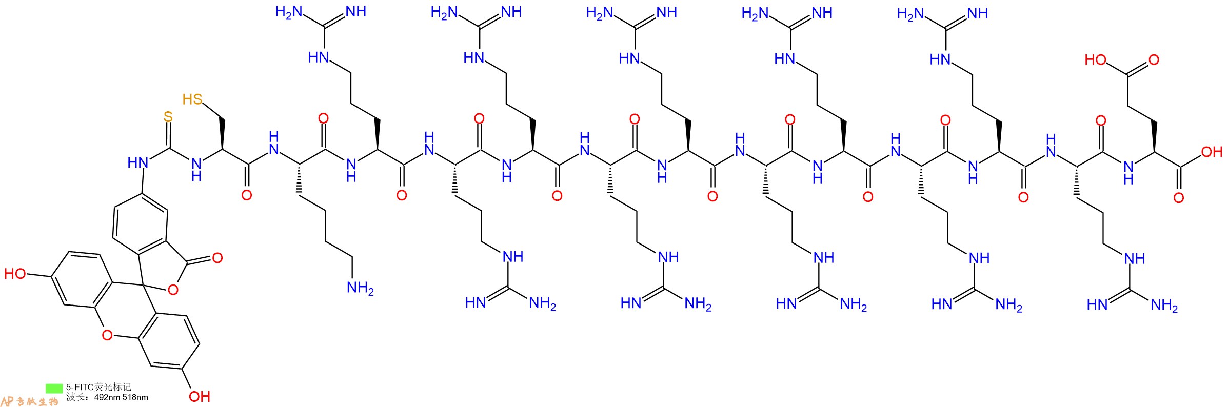 专肽生物产品5FITC-Cys-Lys-Arg-Arg-Arg-Arg-Arg-Arg-Arg-Arg-Arg-Arg-Glu-OH