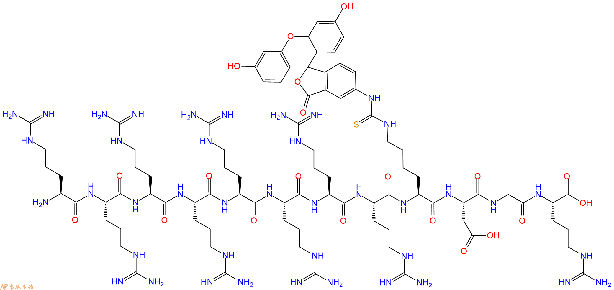 专肽生物产品H2N-Arg-Arg-Arg-Arg-Arg-Arg-Arg-Arg-Lys(FITC)-Asp-Gly-Arg-OH