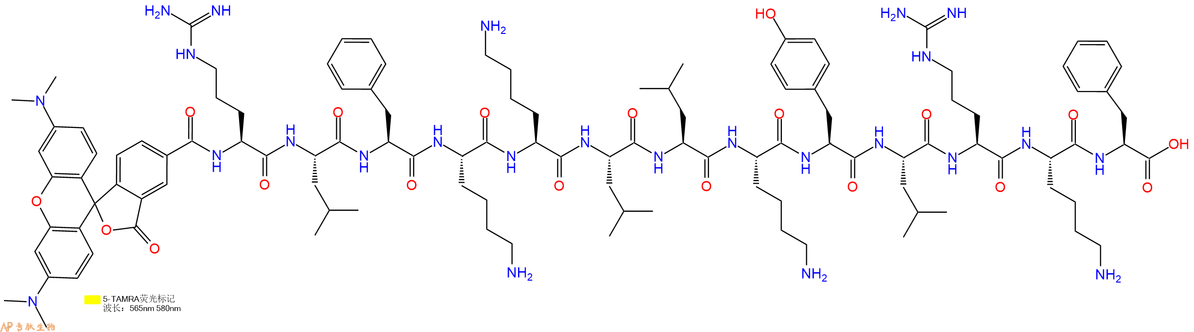 专肽生物产品5TAMRA-Arg-Leu-Phe-Lys-Lys-Leu-Leu-Lys-Tyr-Leu-Arg-Lys-Phe-OH