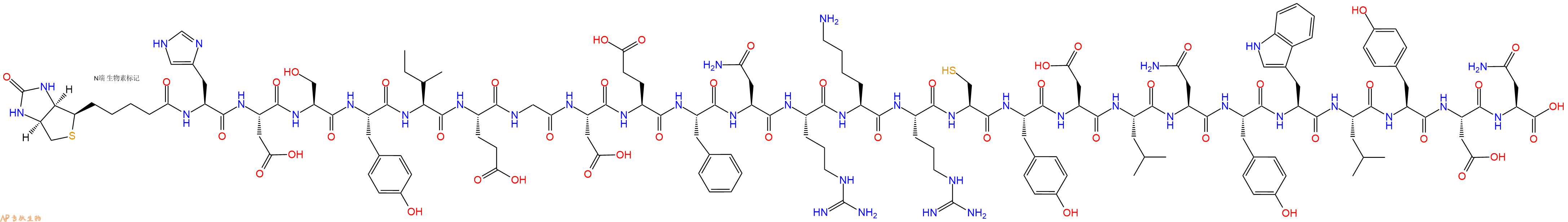 专肽生物产品Biotinyl-His-Asp-Ser-Tyr-Ile-Glu-Gly-Asp-Glu-Phe-Asn-Arg-Lys-Arg-Cys-Tyr-Asp-Leu-Asn-Tyr-Trp-Leu-Tyr-Asp-Asn-OH