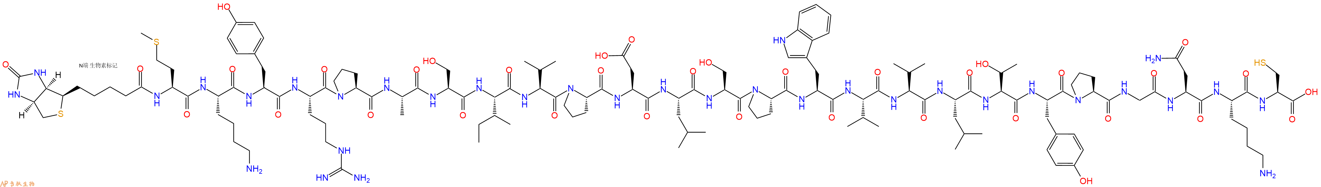 专肽生物产品Biotinyl-Met-Lys-Tyr-Arg-Pro-Ala-Ser-Ile-Val-Pro-Asp-Leu-Ser-Pro-Trp-Val-Val-Leu-Thr-Tyr-Pro-Gly-Asn-Lys-Cys-OH