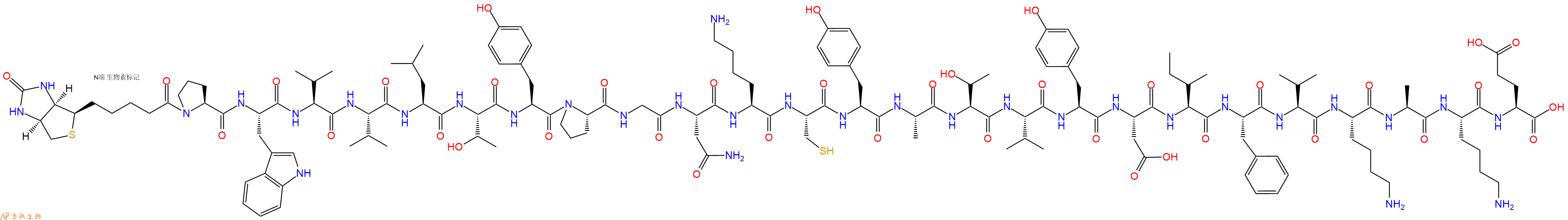 专肽生物产品Biotinyl-Pro-Trp-Val-Val-Leu-Thr-Tyr-Pro-Gly-Asn-Lys-Cys-Tyr-Ala-Thr-Val-Tyr-Asp-Ile-Phe-Val-Lys-Ala-Lys-Glu-OH