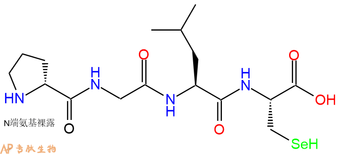 专肽生物产品H2N-DPro-Gly-Leu-Sec-OH