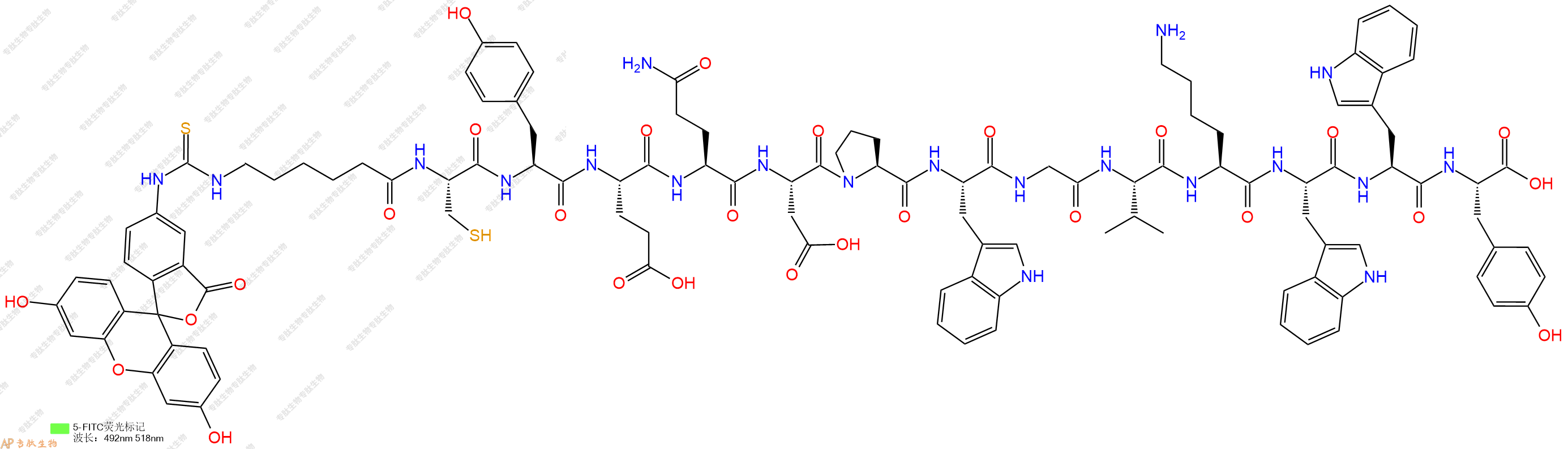 专肽生物产品5FITC-Ahx-Cys-Tyr-Glu-Gln-Asp-Pro-Trp-Gly-Val-Lys-Trp-Trp-Tyr-OH