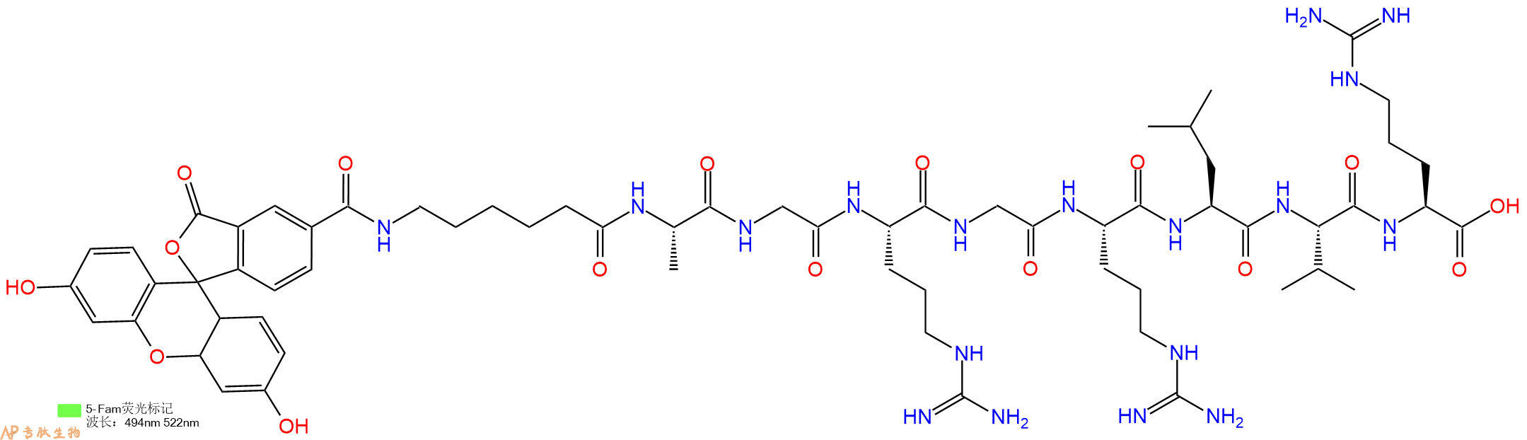 专肽生物产品5FAM-Ahx-Ala-Gly-Arg-Gly-Arg-Leu-Val-Arg-OH
