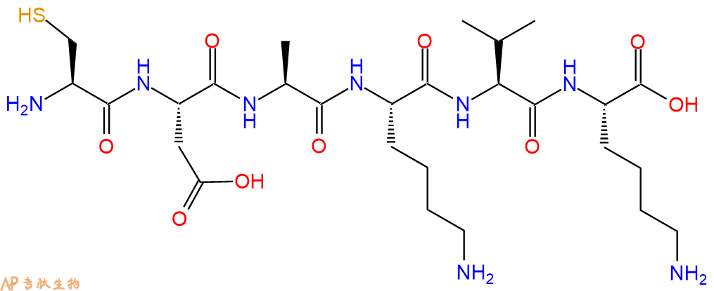 专肽生物产品H2N-Cys-Asp-Ala-Lys-Val-Lys-OH