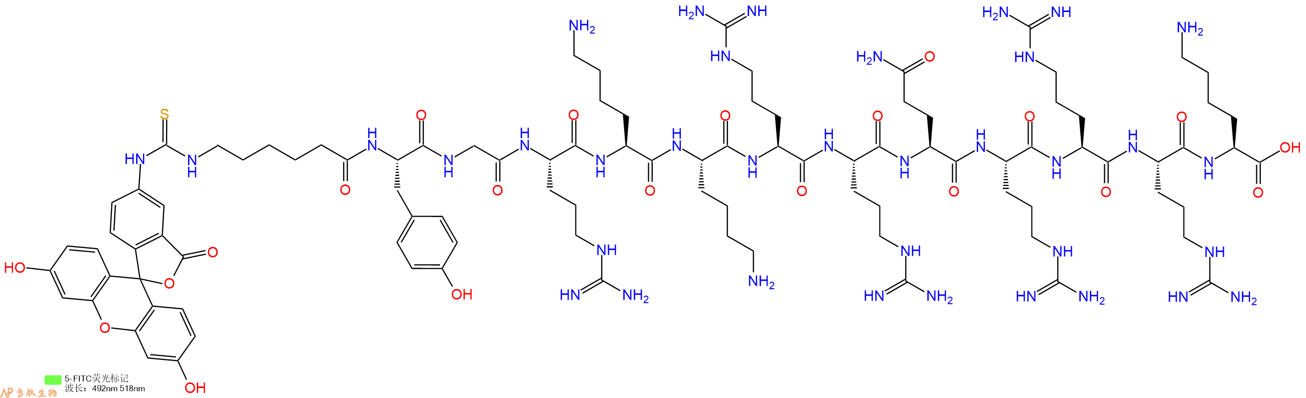 专肽生物产品5FITC-Ahx-Tyr-Gly-Arg-Lys-Lys-Arg-Arg-Gln-Arg-Arg-Arg-Lys-OH