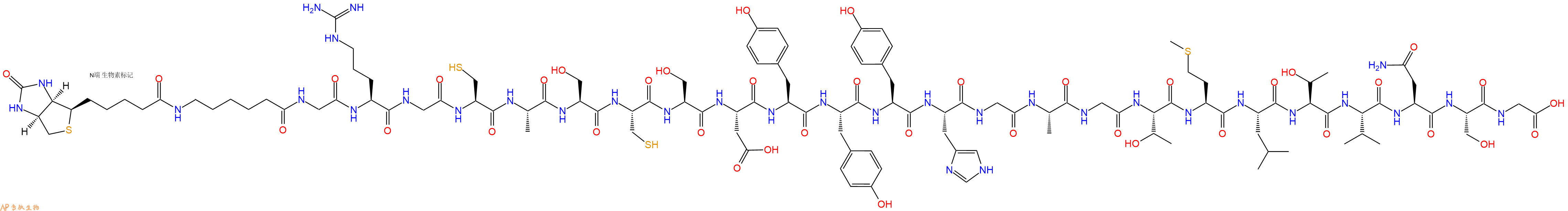 专肽生物产品Biotinyl-Ahx-Gly-Arg-Gly-Cys-Ala-Ser-Cys-Ser-Asp-Tyr-Tyr-Tyr-His-Gly-Ala-Gly-Thr-Met-Leu-Thr-Val-Asn-Ser-Gly-OH