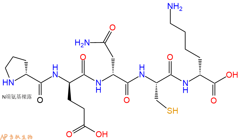 专肽生物产品H2N-DPro-DGlu-DAsn-Cys-DLys-OH