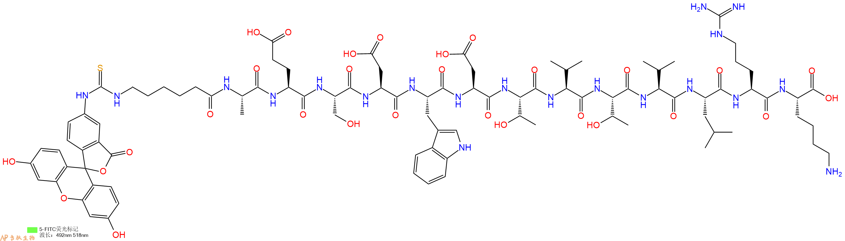 专肽生物产品5FITC-Ahx-Ala-Glu-Ser-Asp-Trp-Asp-Thr-Val-Thr-Val-Leu-Arg-Lys-OH