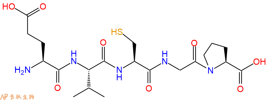 专肽生物产品H2N-Glu-Val-Cys-Gly-Pro-OH