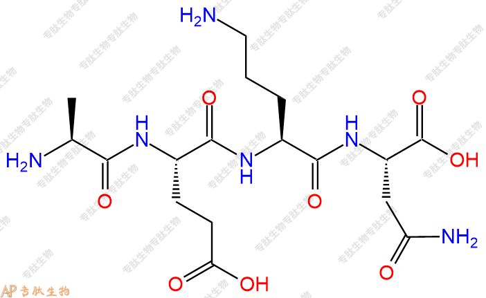 专肽生物产品H2N-Ala-Glu-Orn-Asn-OH