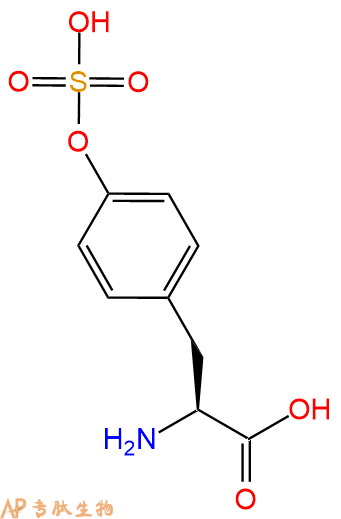 专肽生物产品H2N-Tyr(SO3H)-OH