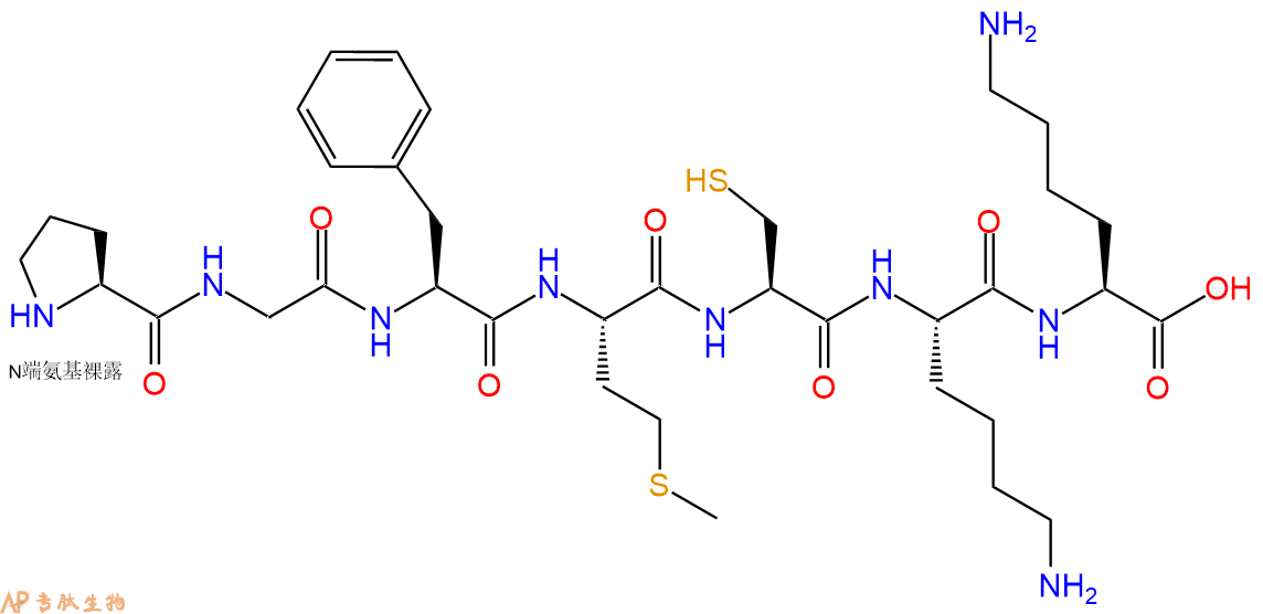 专肽生物产品H2N-Pro-Gly-Phe-Met-Cys-Lys-Lys-OH