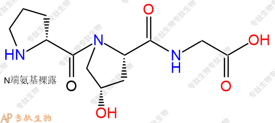 专肽生物产品H2N-DPro-Hyp-Gly-OH