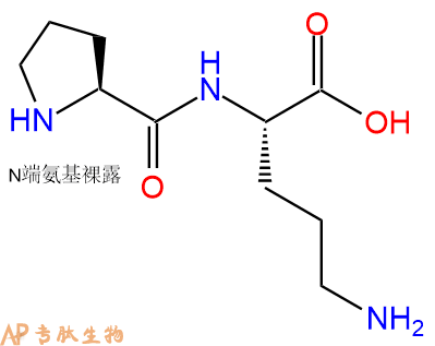 专肽生物产品H2N-Pro-Orn-OH