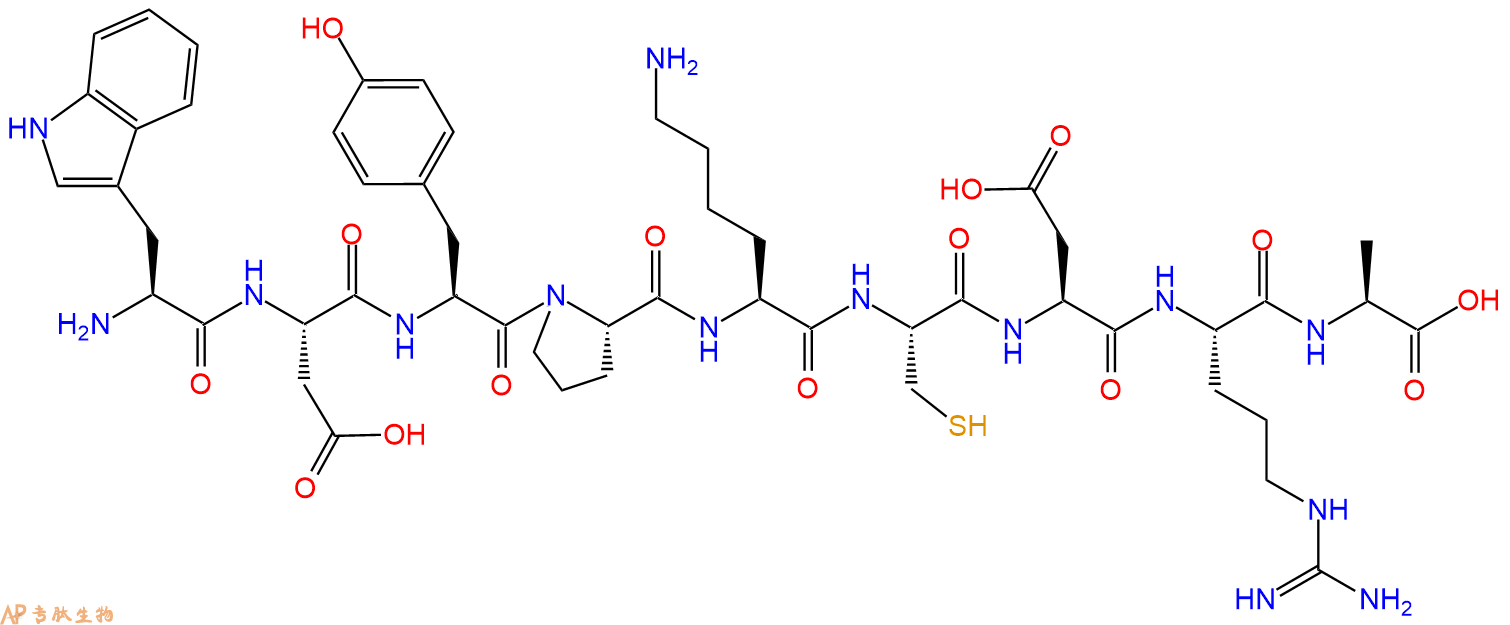 专肽生物产品H2N-Trp-Asp-Tyr-Pro-Lys-Cys-Asp-Arg-Ala-OH