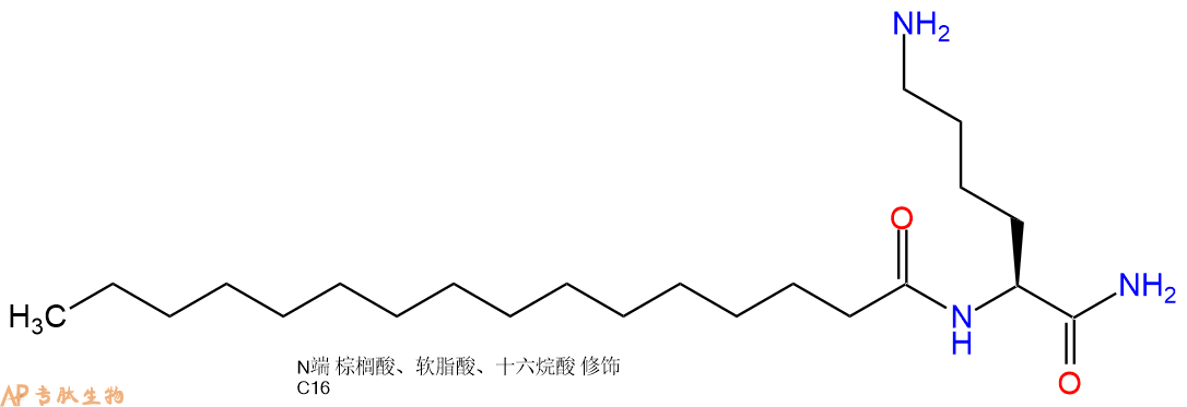 专肽生物产品Palmiticacid-Lys-NH2